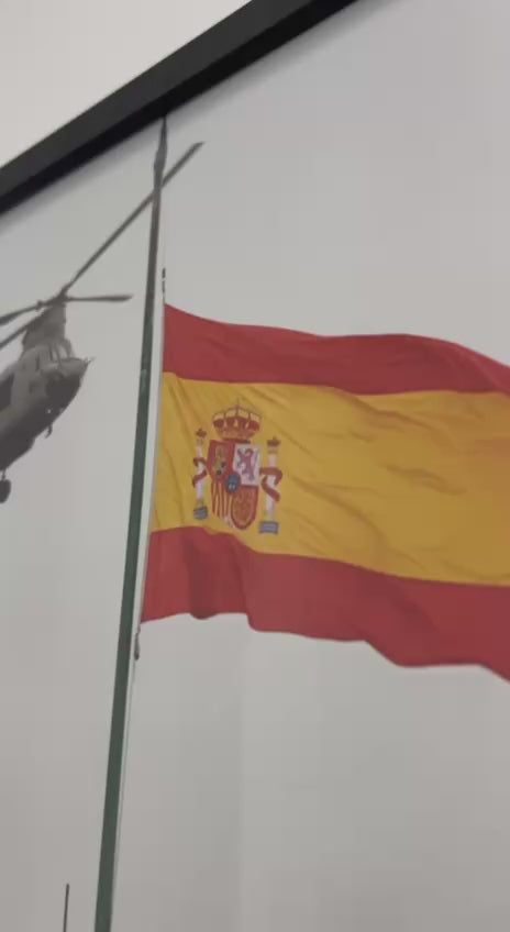 ALZANDO BANDERA | PÓSTER